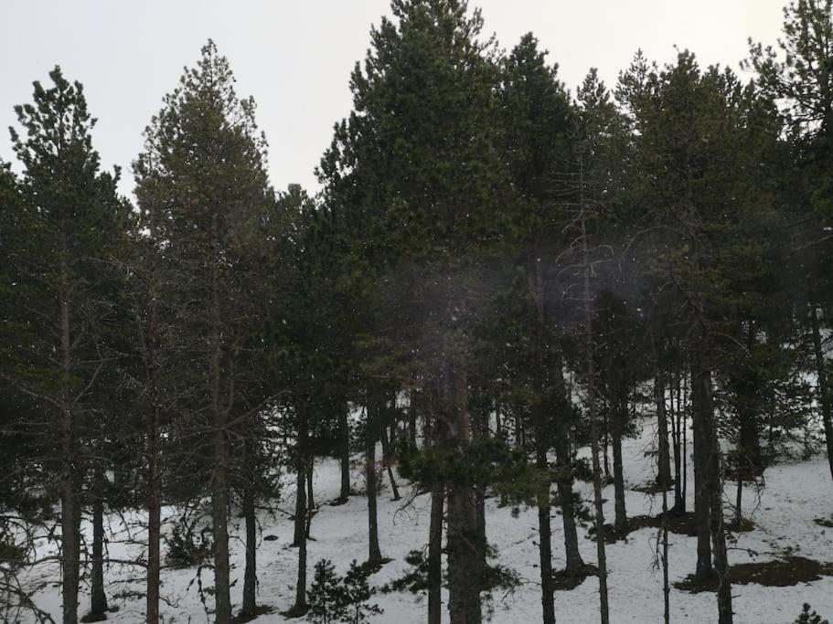 Apartamento A 200 Metros De Port Del Comte Ski La Coma I La Pedra Exteriér fotografie